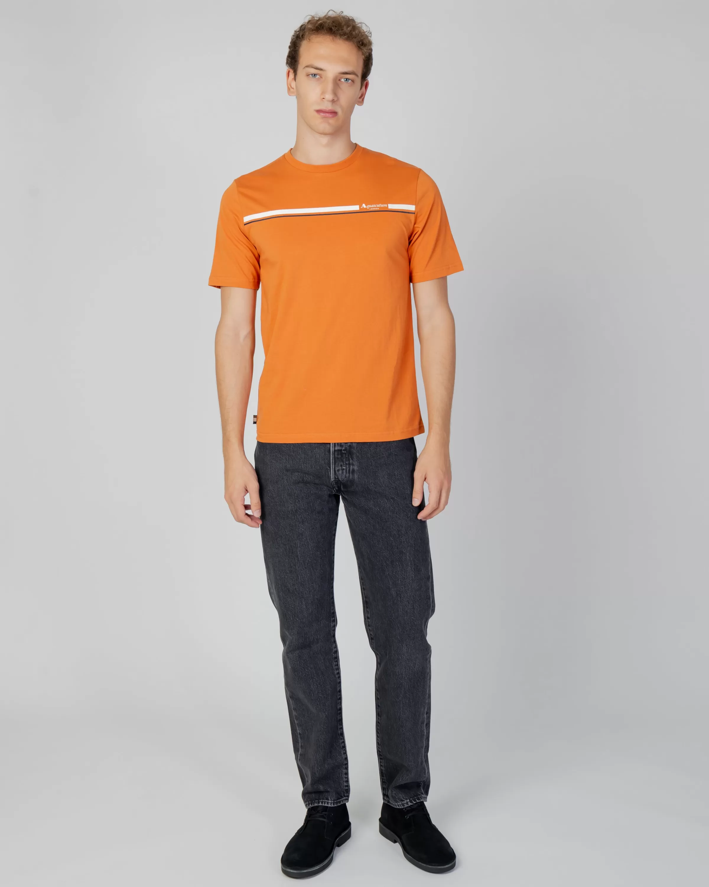 Uomo Aquascutum Active Active Stripes